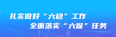 扎實做好“六穩”工作，全面落實“六保”任務